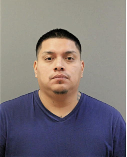 LUIS R AGUAYSA, Cook County, Illinois
