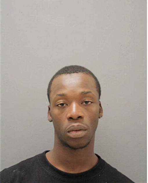 WILL P ALSTON, Cook County, Illinois
