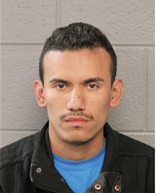 MARCELO ALVARADO, Cook County, Illinois