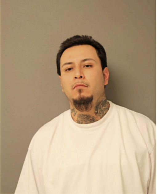 ANTONIO ANDRADE, Cook County, Illinois