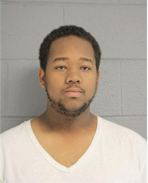 BRYAN R BROWN, Cook County, Illinois
