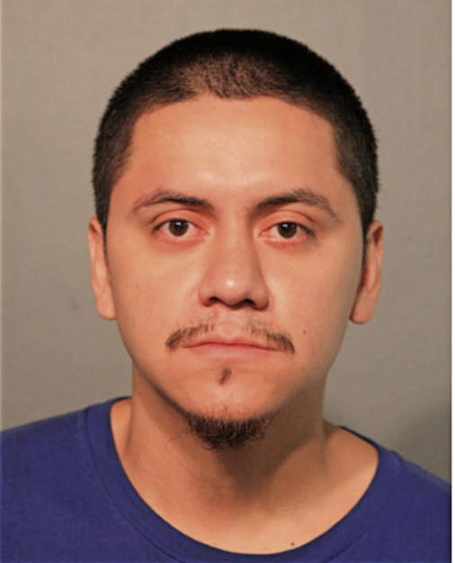 CESAR FUERTE, Cook County, Illinois