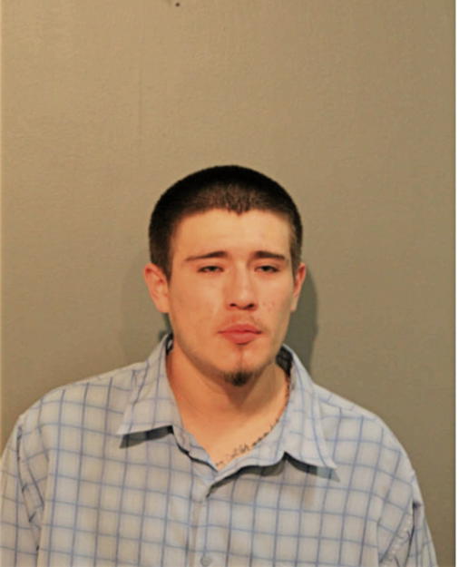 ANTHONY GUZMAN, Cook County, Illinois