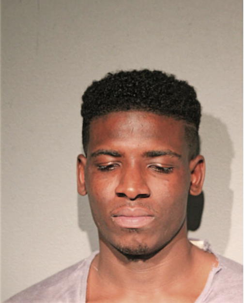 MICHAEL B HOLMES, Cook County, Illinois