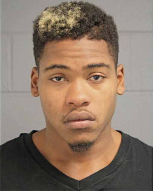 BERNELL R HOPKINS, Cook County, Illinois