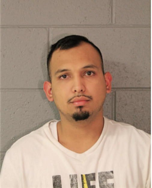 RICARDO INFANTE, Cook County, Illinois