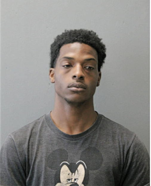 JAYNI K MCGINNIS, Cook County, Illinois