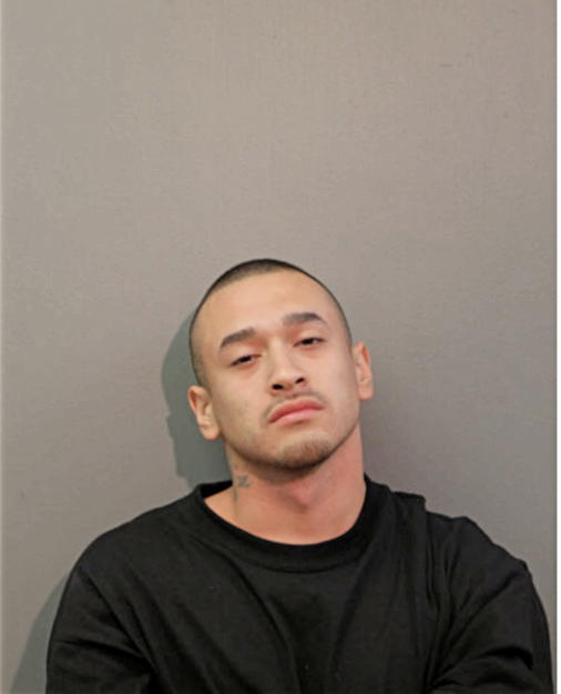 ADRIAN MENDEZ, Cook County, Illinois