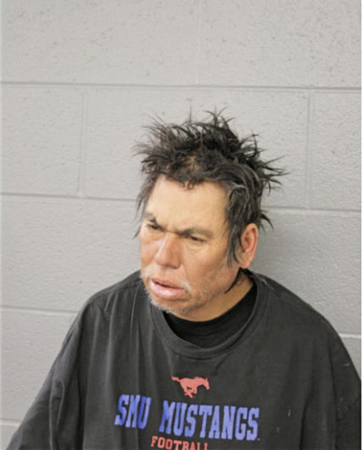 SAUL MENDOZA, Cook County, Illinois
