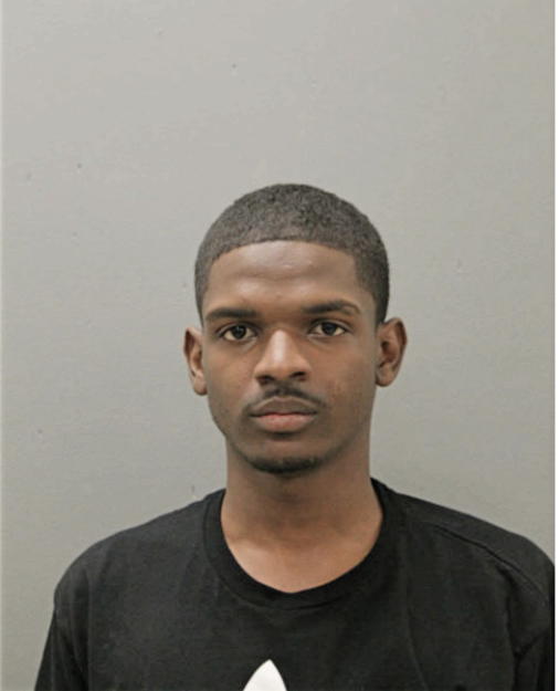 ALLEN S MICKLE, Cook County, Illinois