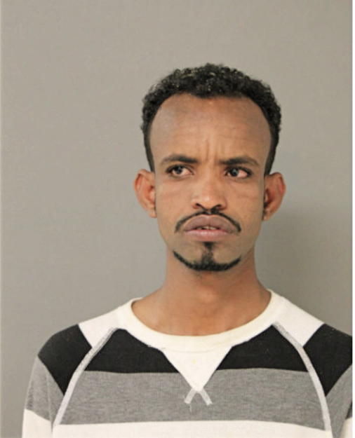 HASSAN A MOHAMMED, Cook County, Illinois