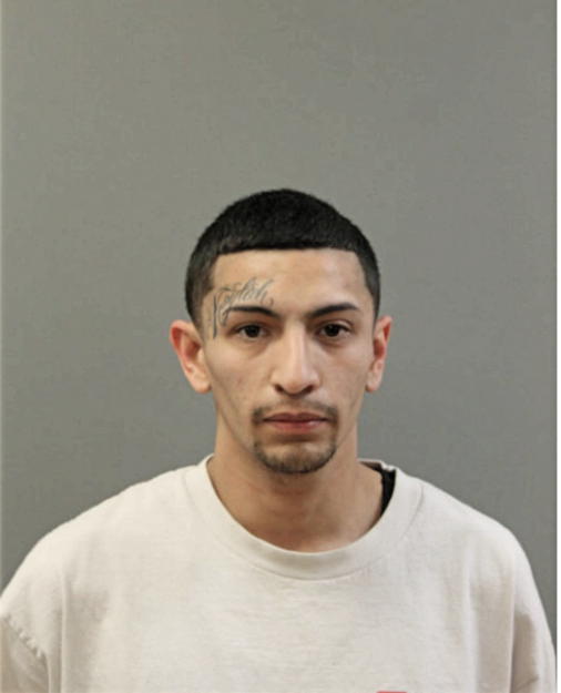 RICARDO MORALES, Cook County, Illinois