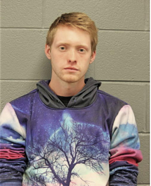 KYLE D NILSEN, Cook County, Illinois