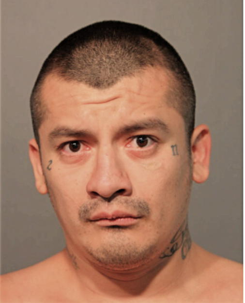 EMMANUEL RAYA, Cook County, Illinois