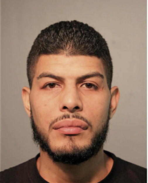 EDGAR REYES, Cook County, Illinois