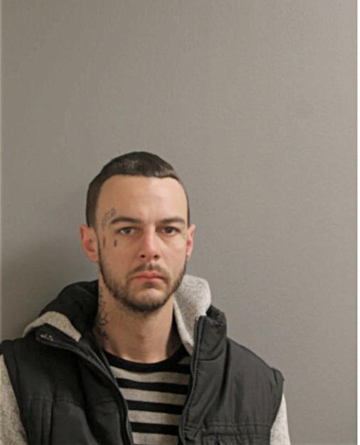 MICHAEL J ROBERTSON, Cook County, Illinois