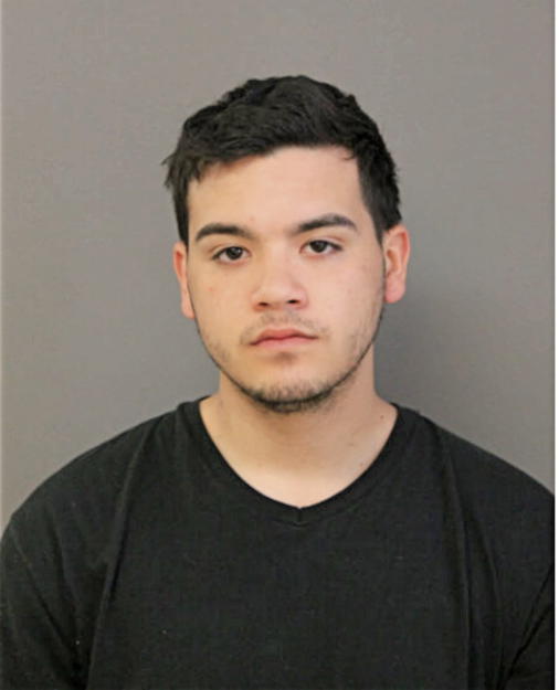 ANTHONY ROLDAN, Cook County, Illinois