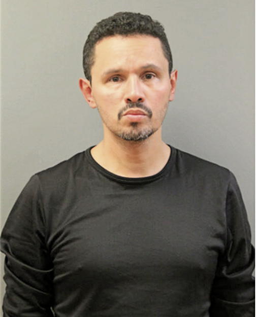 DANIEL ROMAN, Cook County, Illinois