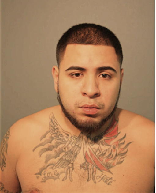 JAIME ROMAN, Cook County, Illinois