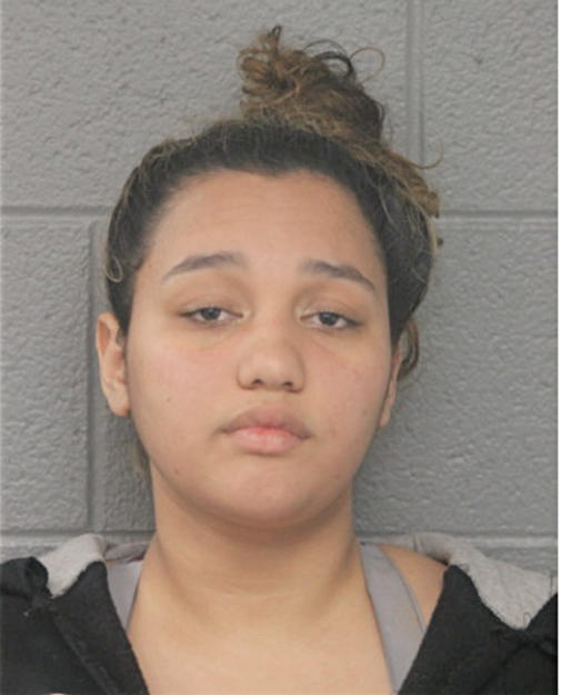 DILEIN N SEVERINO, Cook County, Illinois