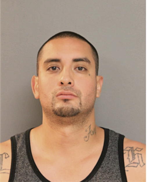 FRANCISCO J VILLAGOMEZ, Cook County, Illinois
