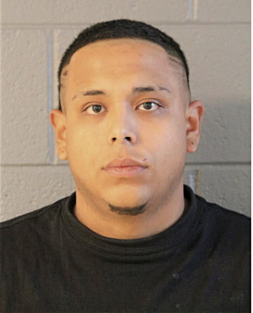 DAVID J VILLALOBOS, Cook County, Illinois