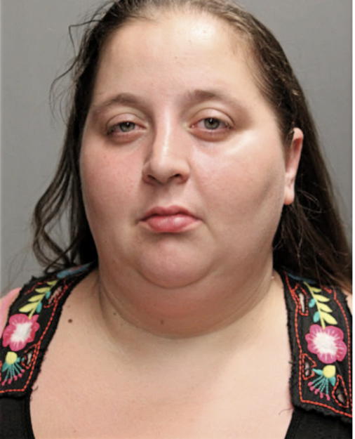 HEATHER C ZANONI, Cook County, Illinois