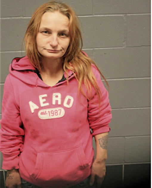 TERRI BARSZCZ, Cook County, Illinois
