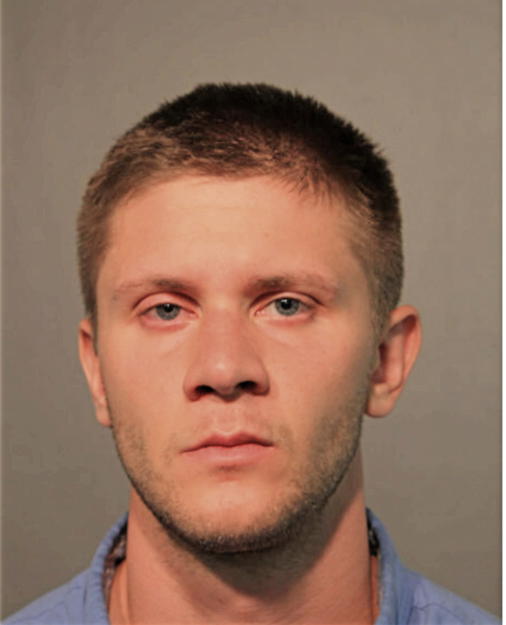ANDREW B BERGER, Cook County, Illinois