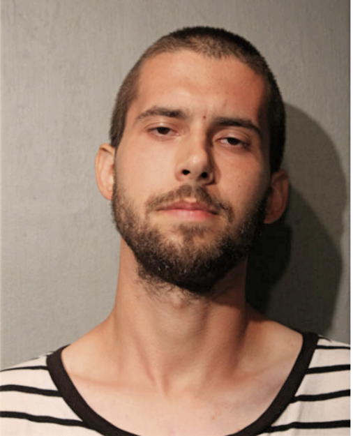 TOMASZ J DAWID, Cook County, Illinois