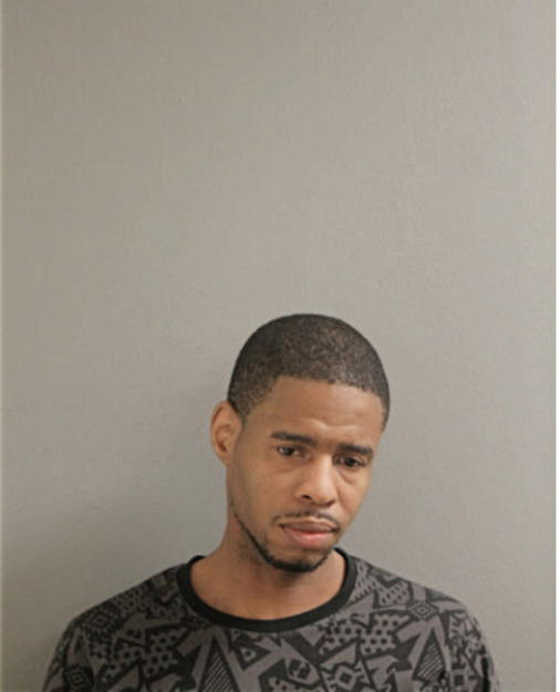 JONATHAN L ENGLISH, Cook County, Illinois