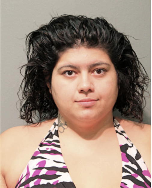 OLGA ENRIQUEZ, Cook County, Illinois
