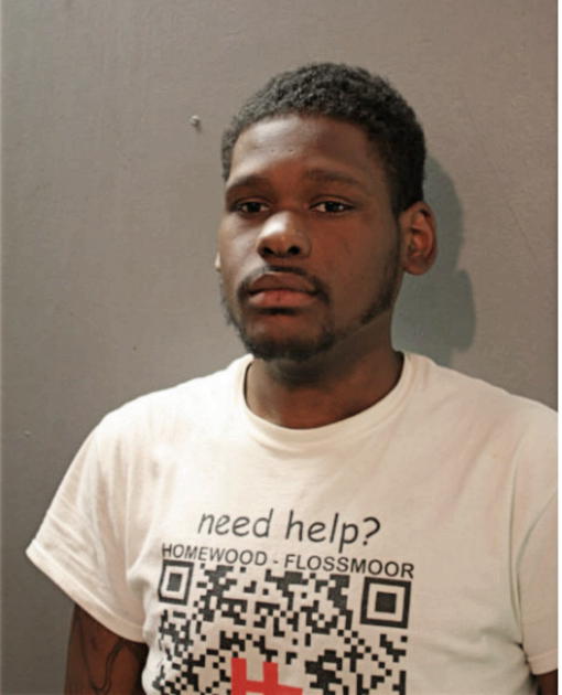 DENNIS L EVANS, Cook County, Illinois