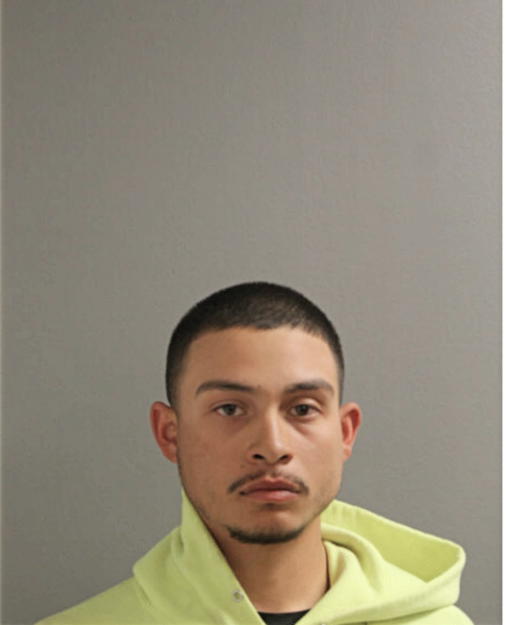 ROBERTO C FAVELA, Cook County, Illinois