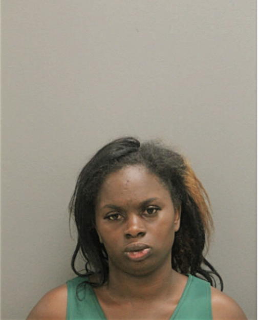DESTINY L GREYER, Cook County, Illinois