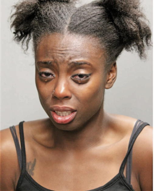 DANIELLE M GUNN, Cook County, Illinois