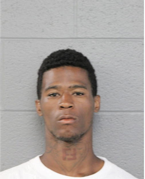 BRIAN K HALL, Cook County, Illinois