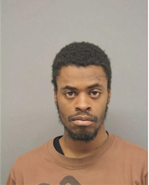 ANTHONY D HALLOM, Cook County, Illinois