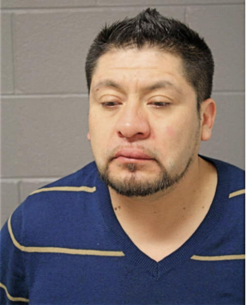 IGNACIO HERNANDEZ, Cook County, Illinois