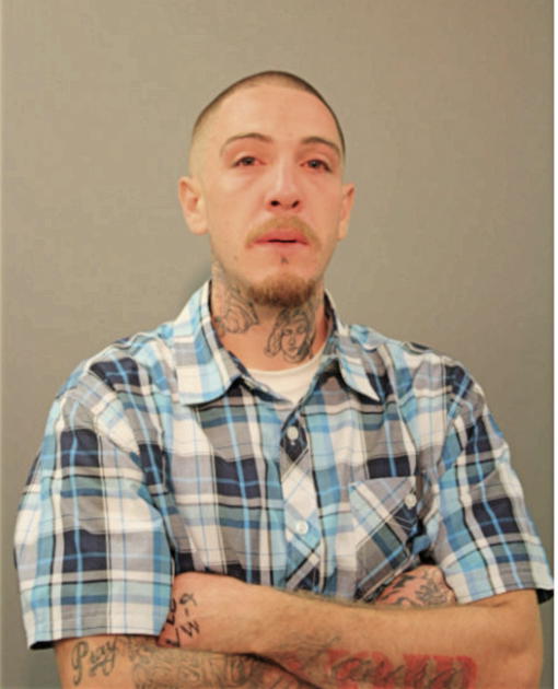 STEVEN J HERNANDEZ, Cook County, Illinois