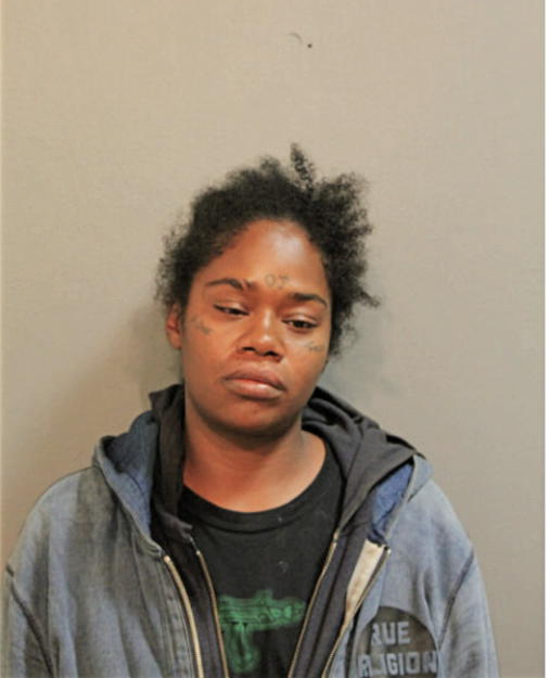 CAMILLE M JOHNSON, Cook County, Illinois