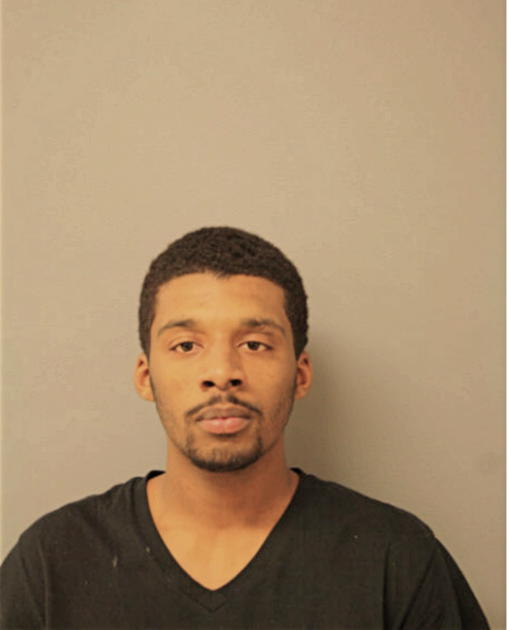 CHARLES L JOHNSON, Cook County, Illinois