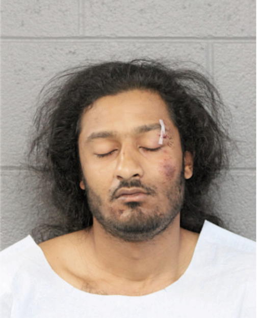 REGGIE L JOHNSON, Cook County, Illinois