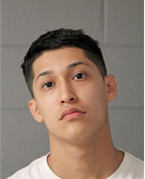 JOSHUA M MAYORGA, Cook County, Illinois
