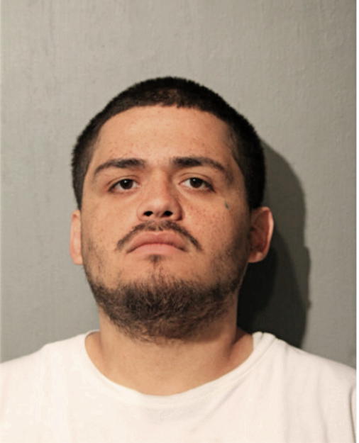 CARLOS G MONTANEZ, Cook County, Illinois