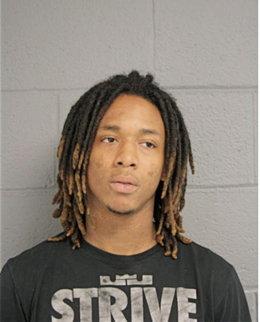 BRANDON J NELLUM, Cook County, Illinois