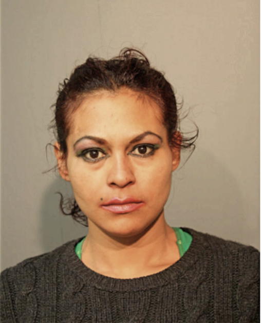 MANIS L NUNEZ, Cook County, Illinois