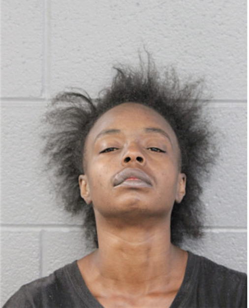 VICKI L OWENS, Cook County, Illinois