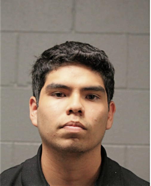 MIGUEL A RAMOS, Cook County, Illinois