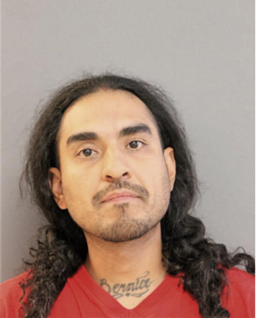 LIONEL RUBIO, Cook County, Illinois